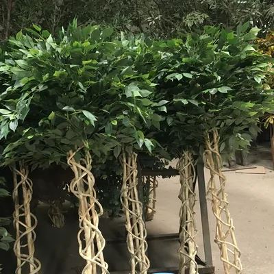 Ancient Artificial Banyan Tree for Door Decoration