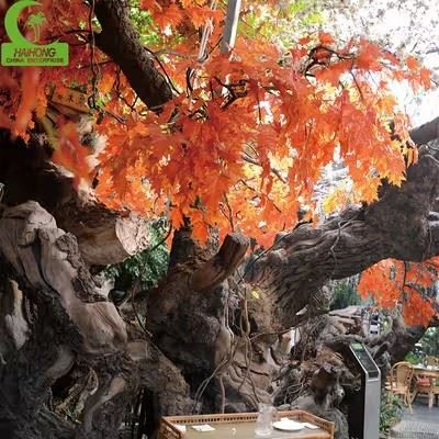 Simulation Maple Tree best