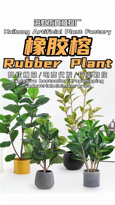 Artificial Ficus Elastica